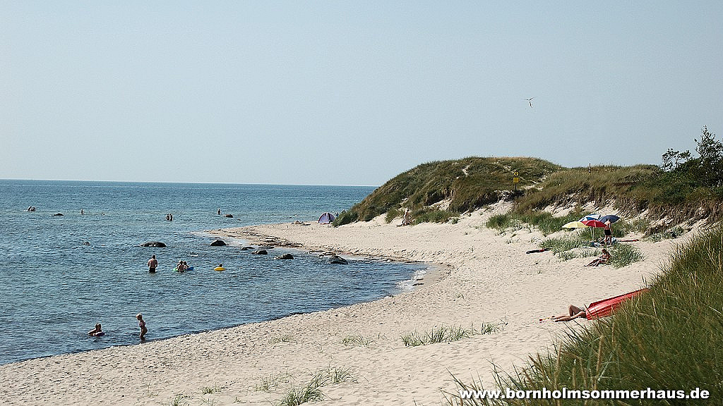 Beach and dunes in Vestre Sømark . - Vestre Sömarken sand beach Dueodde Bornholm
